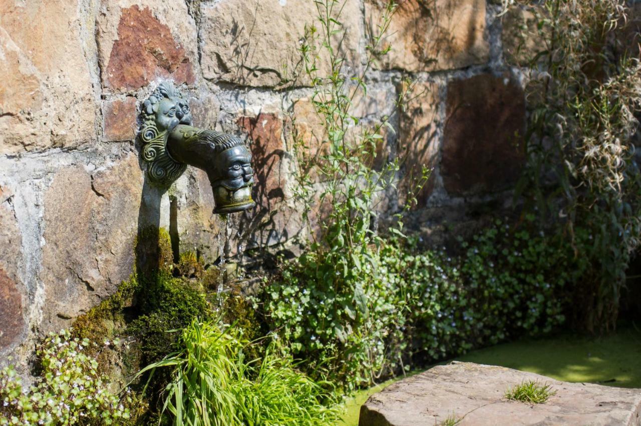 Domaine De Ronchinne - Maison Du Jardinier Maillen Buitenkant foto