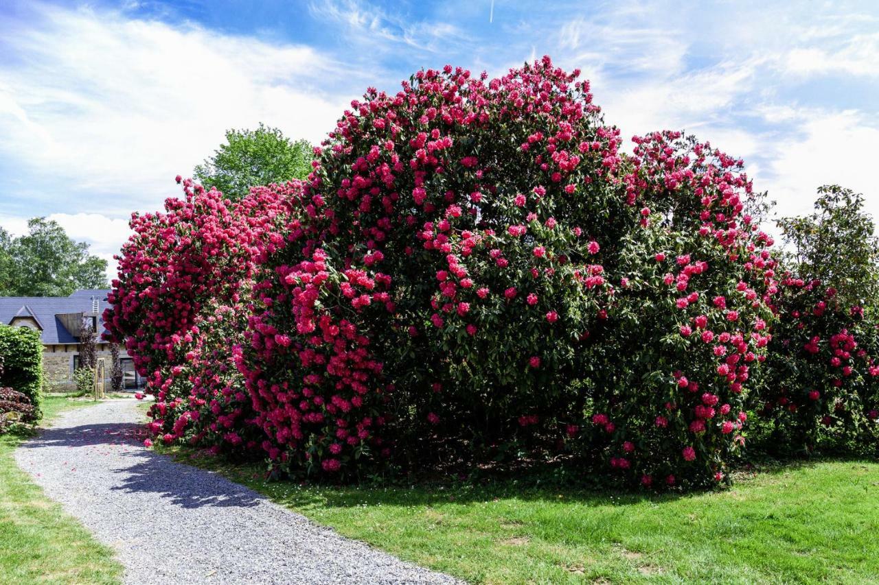 Domaine De Ronchinne - Maison Du Jardinier Maillen Buitenkant foto